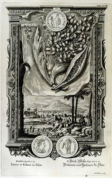 Elim, according to the Hebrew Bible, was one of the places where the Israelites camped following their Exodus from Egypt. A place where 'there were twelve wells of water and seventy date palms, 18th century (engraving)