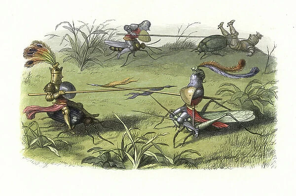Elves in suits of armour mounted on crickets and beetles staging a fairy tournament. Handcoloured woodblock print by Edmund Evans after an illustration by Richard Doyle from In Fairyland, a series of Pictures from the Elf World, Longman, London
