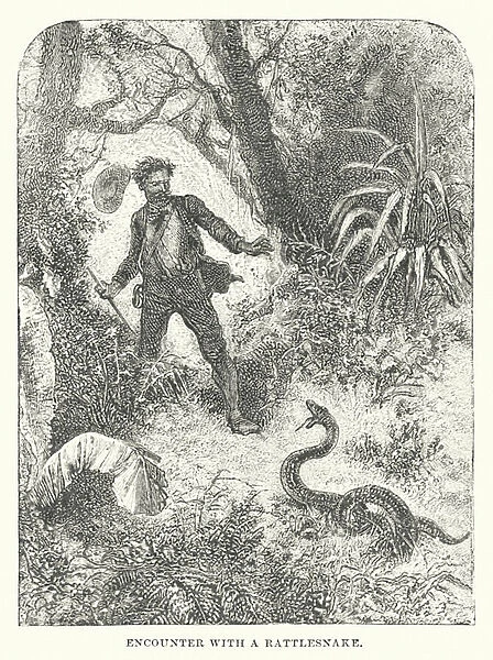 Encounter with a Rattlesnake (engraving)