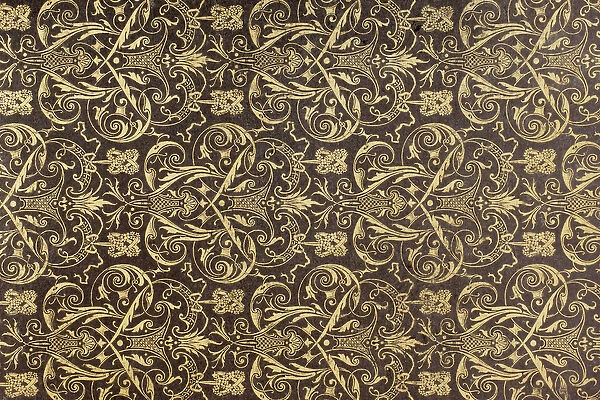 End paper from a book published by Firmin Didot of Paris (paper)