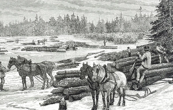 Engraving depicting Canadian loggers forming timber into rafts ready to be floated down the river, 19th century