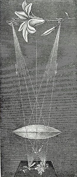 Engraving depicting a double convex lens, showing refraction of light and the conjugate focus (b, a), 19th century
