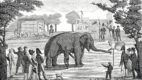 Engraving depicting the elephant Baba in the Tivoli gardens firing a pistol, 19th century