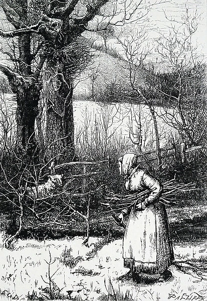 Engraving depicting an old woman collecting firewood from a hedgerow. Dated 19th Century ©UIG / Leemage