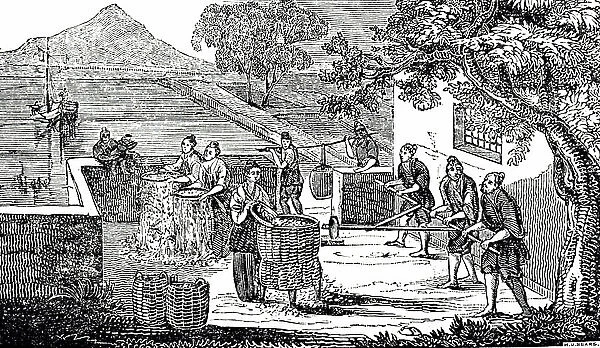 An engraving depicting the sifting husks from rice and grinding grain, 19th century