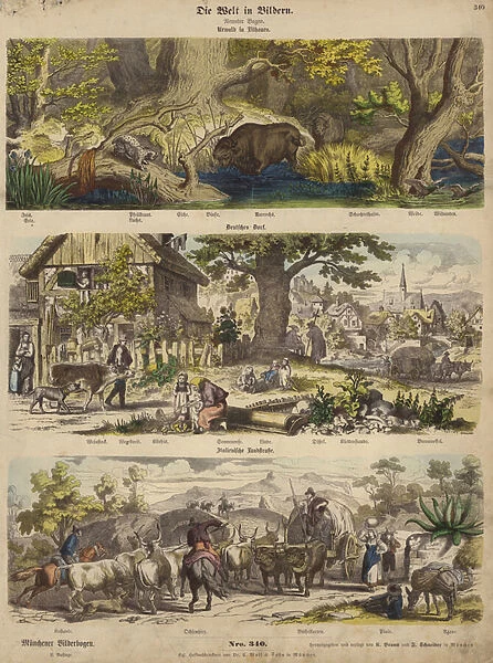 Europe: forest in Lithuania; German village; Italian country road (coloured engraving)