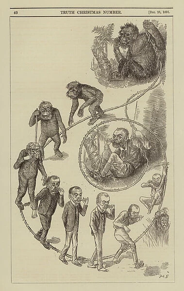 Evolution of man from apes (engraving)