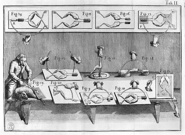 Experiment on frogs, illustration from De viribus electricitatis in motu