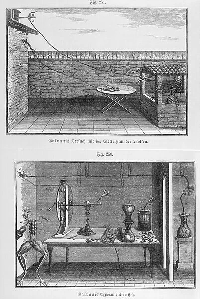 Experiment on frogs by Louis Galvani (1737-98) late 18th century (engraving) (b  /  w photo)