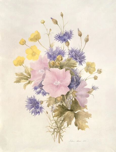 Field Flowers, 1842 (w  /  c on paper)