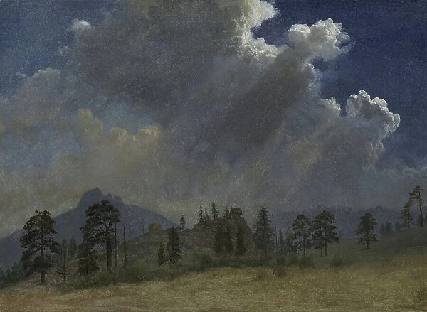 Fir Trees and Storm Clouds, c.1870 (oil on paper mounted on canvas)