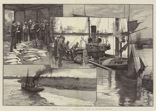 The Fish Supply, Sketches of a Fish-Market (engraving)