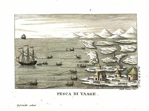 Fishing boats in Vaage, Norway. In February and March, 300 boats manned by 20, 000 fishermen assemble here. Illustration From Leopold von Buch (1774-1853) Travels through Norway, and Lapland, 1813