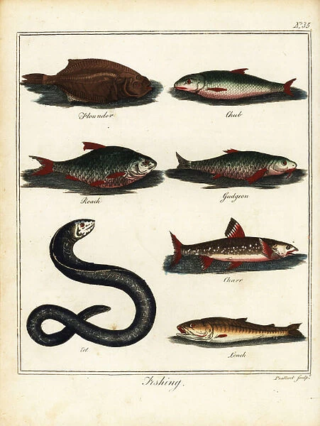 Fishing: flounder, chub, roach, gudgeon, charr, eel, loach. 1792 (engraving)