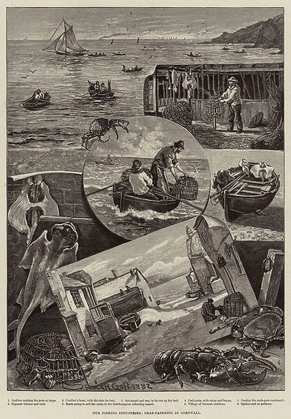 Our Fishing Industries, Crab-Catching in Cornwall (engraving)