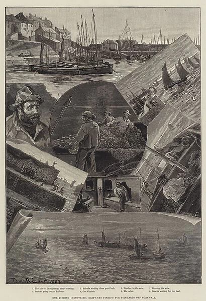 Our Fishing Industries, Drift-Net Fishing for Pilchards off Cornwall (engraving)