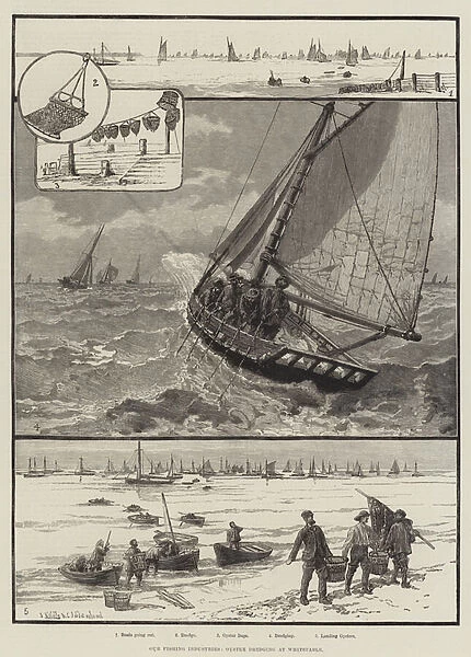 Our Fishing Industries, Oyster Dredging at Whitstable (engraving)
