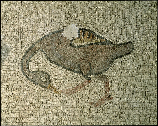Floor of a basilica (mosaic)