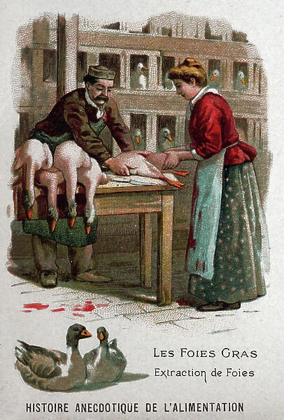 Foie gras, c.1910 (print)