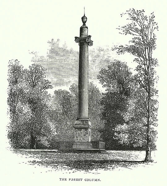 The Forest Column (engraving)