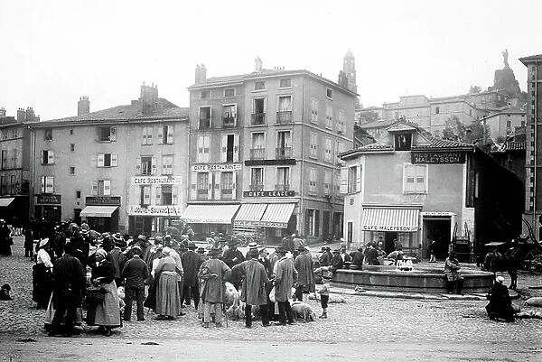 France, Auvergne, Puy-de-Dome (63), Le Puy en Velay: walking with cattle on a square surrounded by many shops, 1900 - shops: cafe restaurant JOUVE SAUVAGEON - restaurant JACQUIGNON - cafe LEAGE - cafe restaurant MALEYSSON