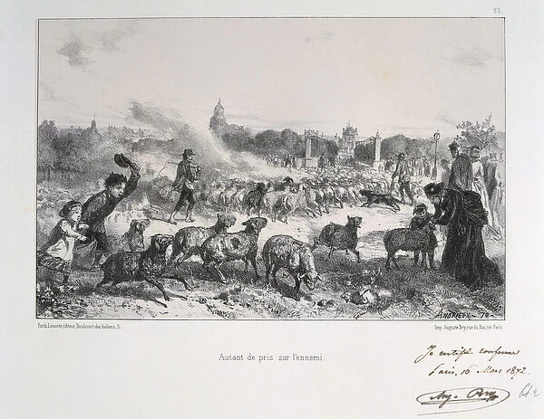Franco-Prussian War 1870-1871: Driving away a flock of sheep to deny them falling into