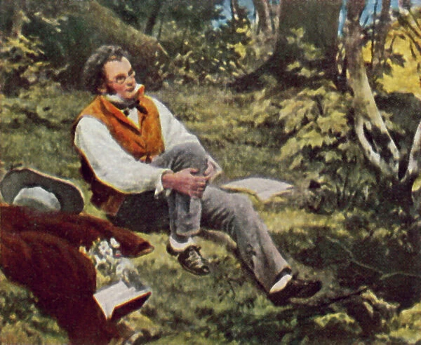 Franz Schubert, Austrian composer (colour litho)