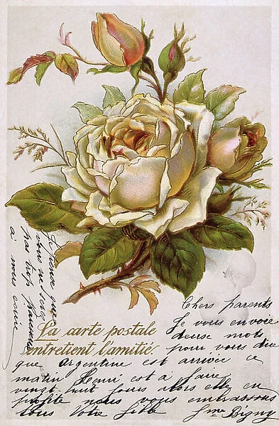 French postcard with images of flowers, 1900