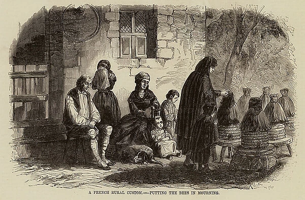 A French Rural Custom, Putting the bees in mourning (engraving)