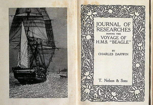 Frontispiece and illustration of 'Journal of Researches during the Voyage of H. M. S. Beagle'by British scientist Charles Robert Darwin (1809-1882). Engraving