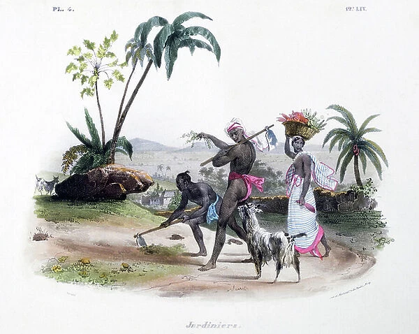 Gardeners attending a vegetable plot in central India, 1828