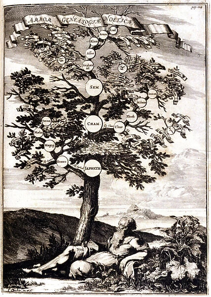 Genealogical tree of Noe d Apres: Athanasius Kircher, Turris Babel, Roma 1675 Milan