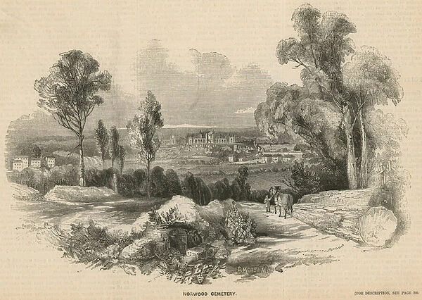 General view of Norwood Cemetery (engraving)
