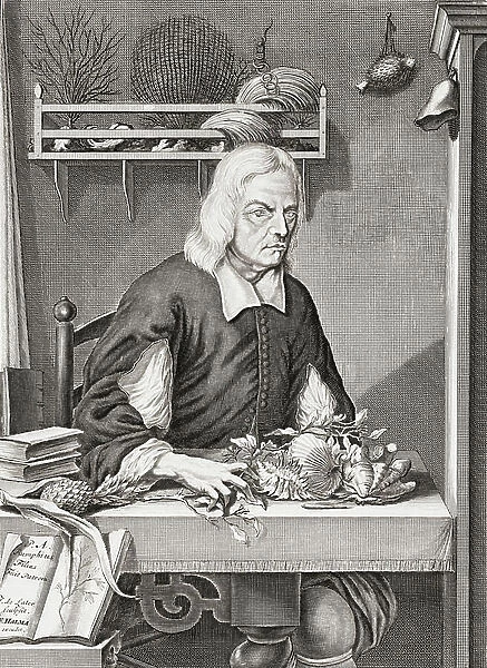 Georg Eberhard Rumphius (print)