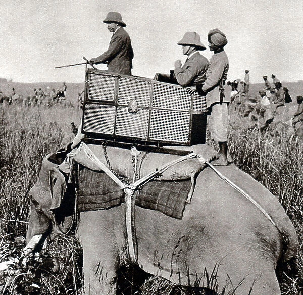George V 1911 hunting in Nepal (1911), 1935 (photo)