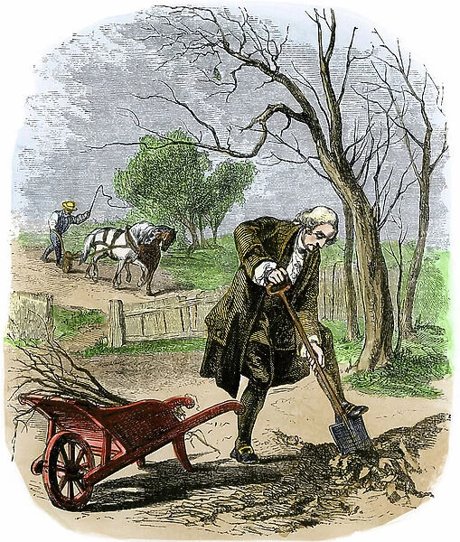 George Washington (1732-1799) gardening in Mount Vernon in the garden of his residence, United States. Colourful engraving of the 19th century