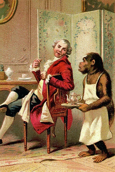 Georges-Louis Leclerc, Count of Buffon with his tame chimpanze that serves him, late 19th and beg of 20th century (chromo)