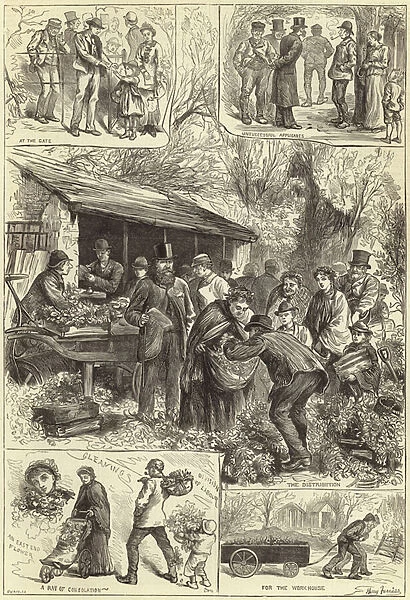Giving away plants to the London poor at Victoria Park (engraving)
