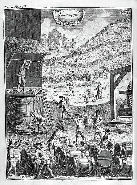 Grape treading in winery, 1775