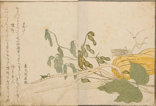Grasshopper and praying mantis, 1788 (woodblock)