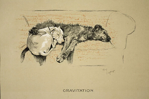 Gravitation, 1930, 1st Edition of Sleeping Partners, Aldin