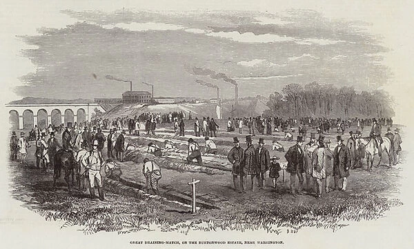 Great Draining-Match, on the Burtonwood Estate, near Warrington (engraving)
