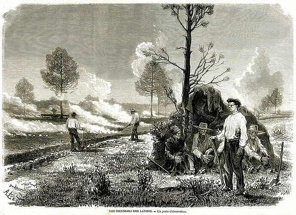 Great fire in the Landes: an observation post, 1870 (engraving)