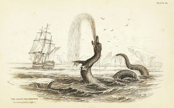 Great sea serpent seen off the coast of Greenland in 1734. Scoliophis atlanticus. From a description by Hans Egede. Steel engraving by W.H. Lizars after an illustration by James Stewart from Robert Hamilton's Amphibious Carnivora