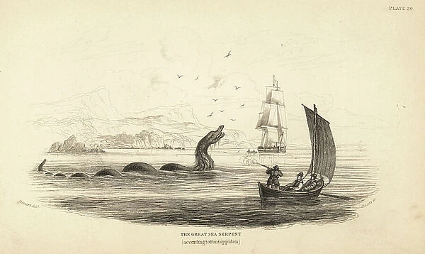 Great sea serpent shot at by the crew of Lawrence by Ferry in 1746. Described in Bishop Erik Pontoppidan's Natural History of Norway, 1752. Steel engraving by W.H