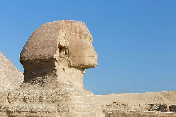 The great Sphinx, Giza, Cairo, Egypt, 2020 (photo)