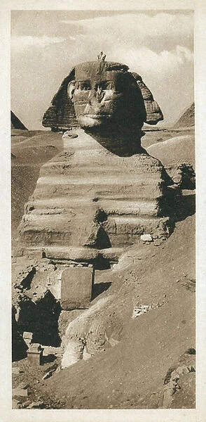 The Great Sphinx on the Giza Plateau, Egypt (b  /  w photo)