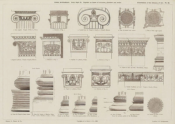 Greek Architecture, Ionic Style, Capitals and bases of columns, pilasters and walls (engraving)