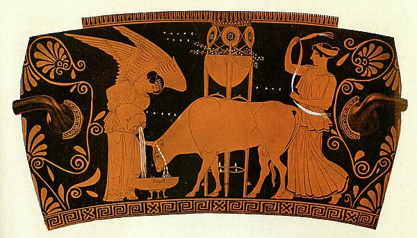 Greek red figure vase showing women caring for a sacrificial bull, 1909 (drawing)