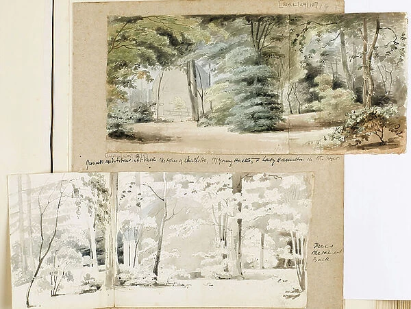 Part of the grounds at Merton with an arbour and trees, 1804 (watercolour, graphite)